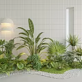 Tropical Green Plants Arrangement With White Tiled Wall Wall Lamp And Pebbles Grass