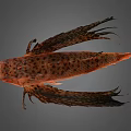 Orange Red Fish With Dark Spots And Large Fins Distinctive Appearance