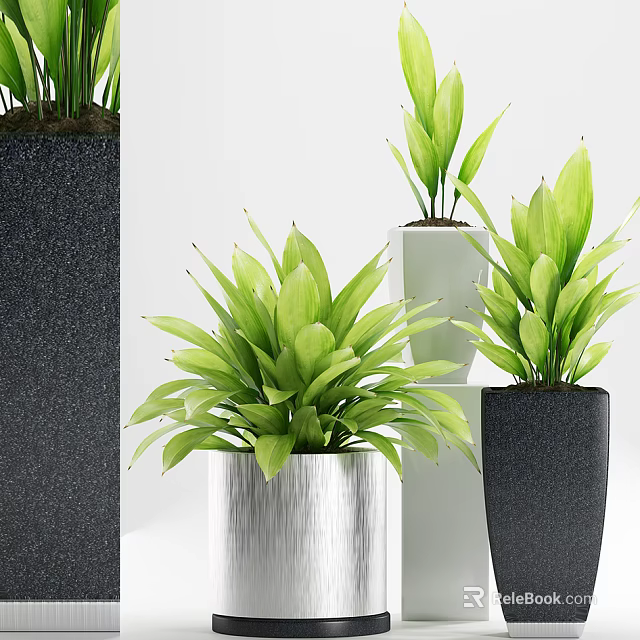 Stylish Indoor Bonsai Potted Plants With Green Leaves And Different Colored Pots 3d model 