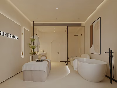 Modern SPA Sauna Interior Relaxation Space With Massage Bed Freestanding Bathtub And Decorative Plants 3d model