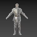 Man Wearing Full Shiny Silver Medieval Armor Standing with Arms Outstretched
