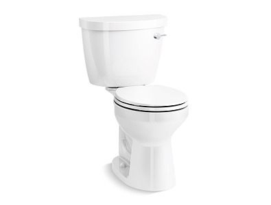 Kohler Toilet Vertical Toilet 3d model