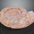 Ancient Ammonite Fossil With Detailed Spiral Texture And Brown White Patterns