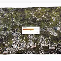 Natural Stone And Wood Ground Covered With Green Moss In Outdoor Area
