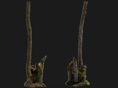 Natural Tree Stump Sculptures With Mossy Texture And Handcrafted Details 3d model