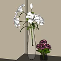 White Lilies in Transparent Ribbed Vase with Pink Chrysanthemums in Small Vase