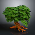 Vibrant Decorative Plant Featuring Lush Green Leaves Unique Twisted Roots And Natural Artistic Design