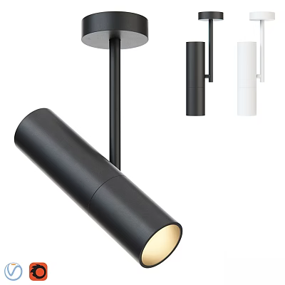 Modern Black and White Downlights and Spotlights for Contemporary Ceiling Lighting 3d model