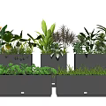 Modern Potted Green Plants With Diverse Foliage In Black Rectangular Pots 3d model