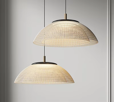 Two Woven Dome Shaped Pendant Lights Modern Minimalist Interior Design 3d model