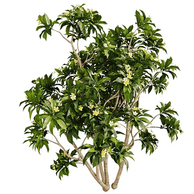 Elegant Hanging Basket Greenery With Lush Green Leaves And Yellow Flowers 3d model