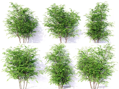 Different Types Of Green Leafy Shrubs With Various Forms For Landscape Design 3d model