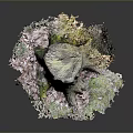 Tree Stump With Textured Bark Spreading Roots And Moss Covered Base 3d model
