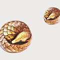Wooden Pangolin Decorative Ornaments Set With Scaly Texture And Curled Shape