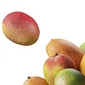 Single Fresh Mango And Pile Of Ripe Mangoes With Vibrant Colors And Various Ripeness Stages