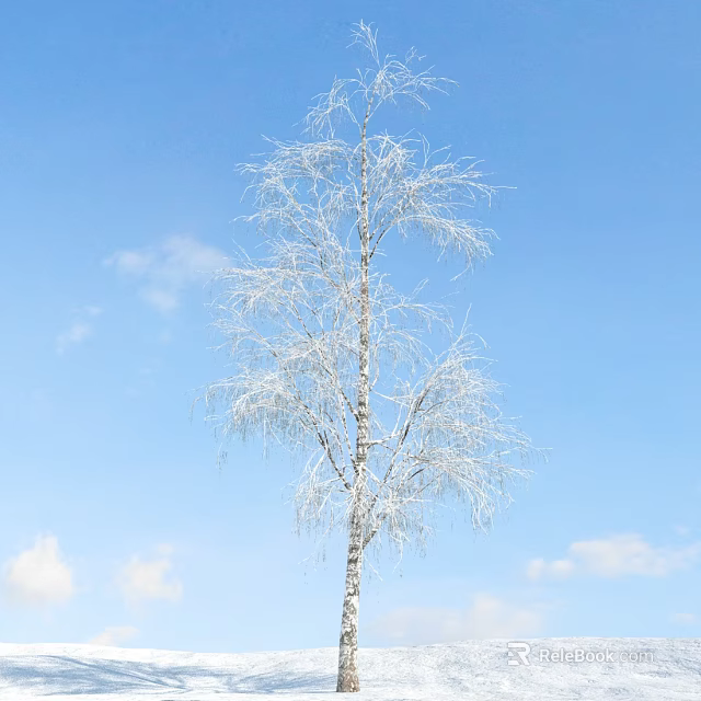 White Birch Tree With Snow Covered Branches Against Blue Sky And White Clouds 3d model 