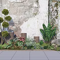 Varied Plant Combination with Spherical Trees Large Leaf Plants Flowers and Shrubs by Weathered Wall