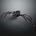 Mysterious Spider Creature Featuring Black Purple Body And Long Legs With Yellow Tips