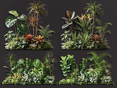 Lush Tropical Plant Combinations With Varied Foliage And Vibrant Greenery 3d model