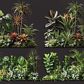 Lush Tropical Plant Combinations With Varied Foliage And Vibrant Greenery