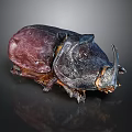Rhinoceros Beetle With Dark Purple Black Exoskeleton On Shiny Dark Surface