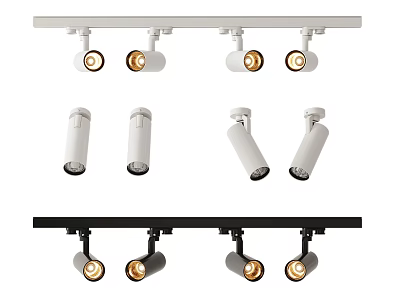 Modern Track Mounted Downlights and Spotlights with White and Black Finish for Home Lighting 3d model