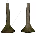 Stone And Wooden Tree Trunks With Moss Covered Roots And Natural Forest Features 3d model