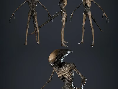 Game Movie Character Alien Creature 3D Model With Multiple Angles Slender Limbs And Skeletal Design 3d model