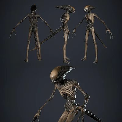 Game Movie Character Alien Creature 3D Model With Multiple Angles Slender Limbs And Skeletal Design 3d model