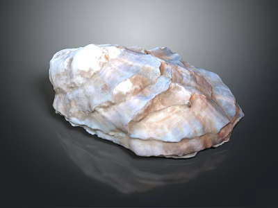 Shell As Biological Organ With Hair Like Layered Texture White Brown 3d model