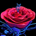 Stunning Red Rose with Glittery Petals and Blue Leaves on Black Background