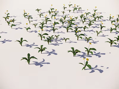 Green Plants With Yellow Flowers On White Background And Long Shadows 3d model