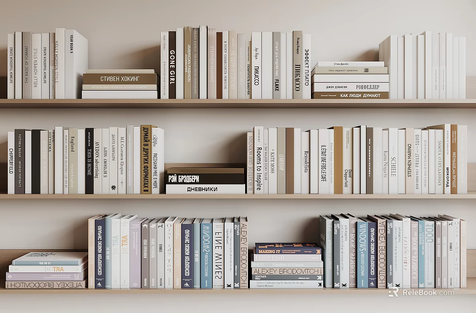 Books and Magazines Collection Arranged Neatly on Wooden Shelves with Different Sizes and Colors 3d model 