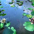 Modern Lotus Pond 3d model