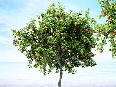 Fruit Arbor With Lush Green Foliage Red Fruits Under Blue Sky Near Calm Water 3d model