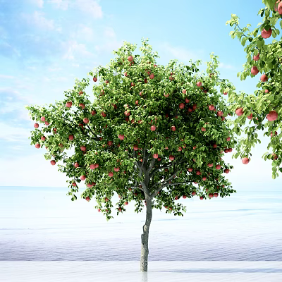 Fruit Arbor With Lush Green Foliage Red Fruits Under Blue Sky Near Calm Water 3d model