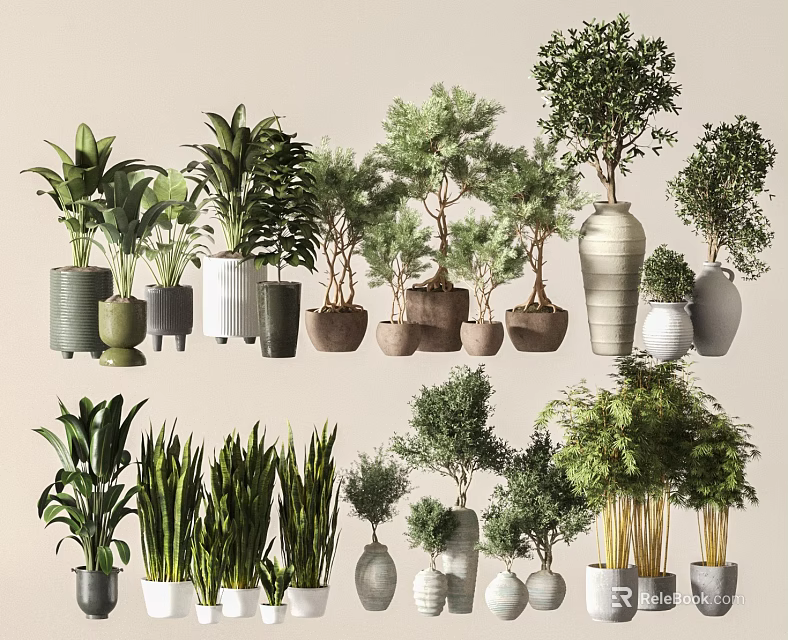 Various Bonsai and Potted Plants in Different Style Pots for Home Decor 3d model 