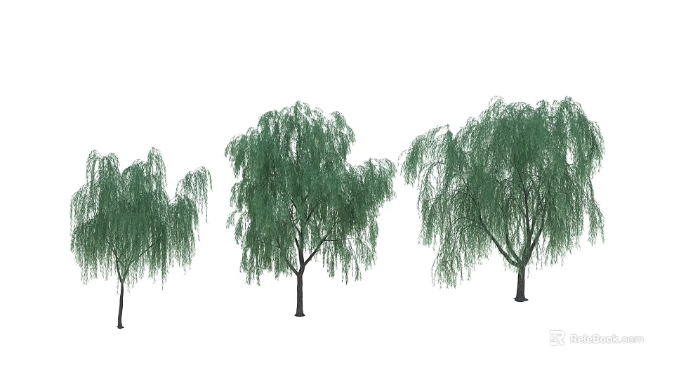 Three Graceful Willow Trees With Drooping Branches And Lush Green Foliage 3d model 