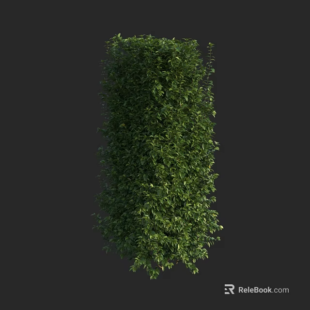 Lush Green Cylindrical Shrub With Dense Leafy Foliage And Vibrant Appearance 3d model 
