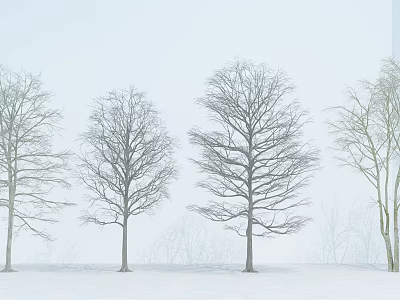Bare Deciduous Trees with Leafless Branches Standing on Snowy Winter Ground 3d model