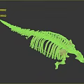 Detailed Medical Device Human Skeleton Model for Anatomical Education and Research