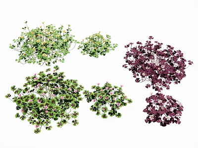 Sorrel Ornamental Grass Landscape Grass Landscape Plants Grass Pandeas Flowers 3d model