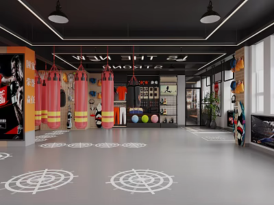 Modern Gym Interior With Red Punching Bags Floor Markings And Fitness Equipment 3d model