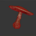 Brown Mushroom Close Up View With Broad Cap And Textured Stem On Dark Background