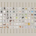 Wall Display With Arranged Insect Butterfly And Plant Specimens On White Cards