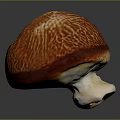 Mushroom Organ Like Structure With Hair Like Texture On Red Orange Cap And White Stem