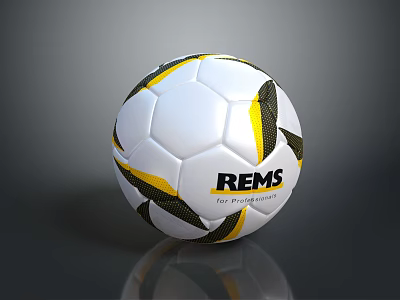 REMS Branded Soccer Ball With White Yellow Black Stripes And Design 3d model
