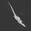 Carnivorous Dinosaur Standing Pose With Spiked Back Open Mouth Brown Green