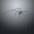 Spider with long thin legs and metallic texture on gray gradient background