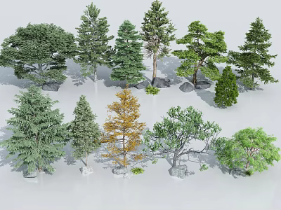 Diverse Landscape Tree Species With Various Foliage Shapes And Trunk Forms 3d model